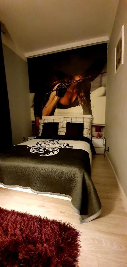 Apartamenty Sofija Deluxe Centrum Zielona Gora  Luaran gambar